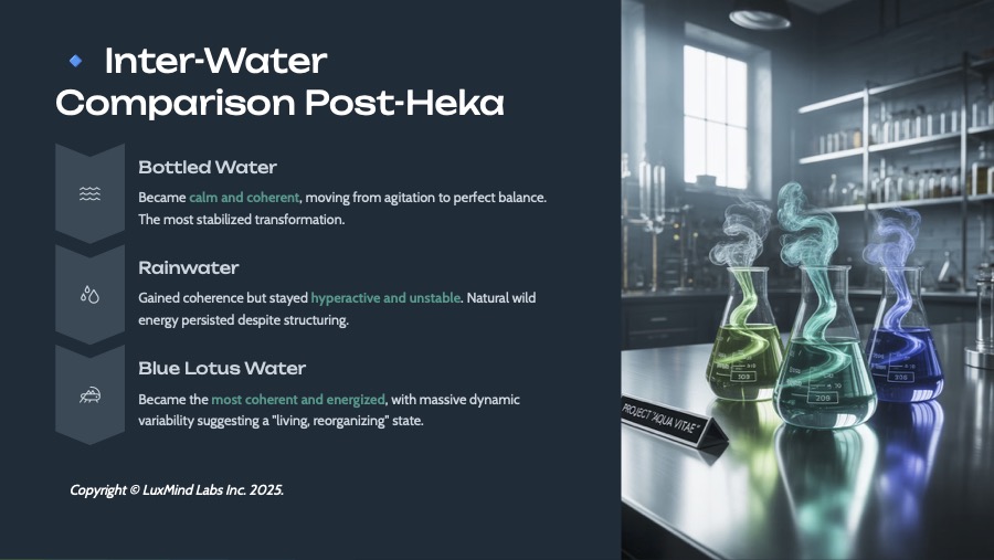 Field-Light-Water-Transformation