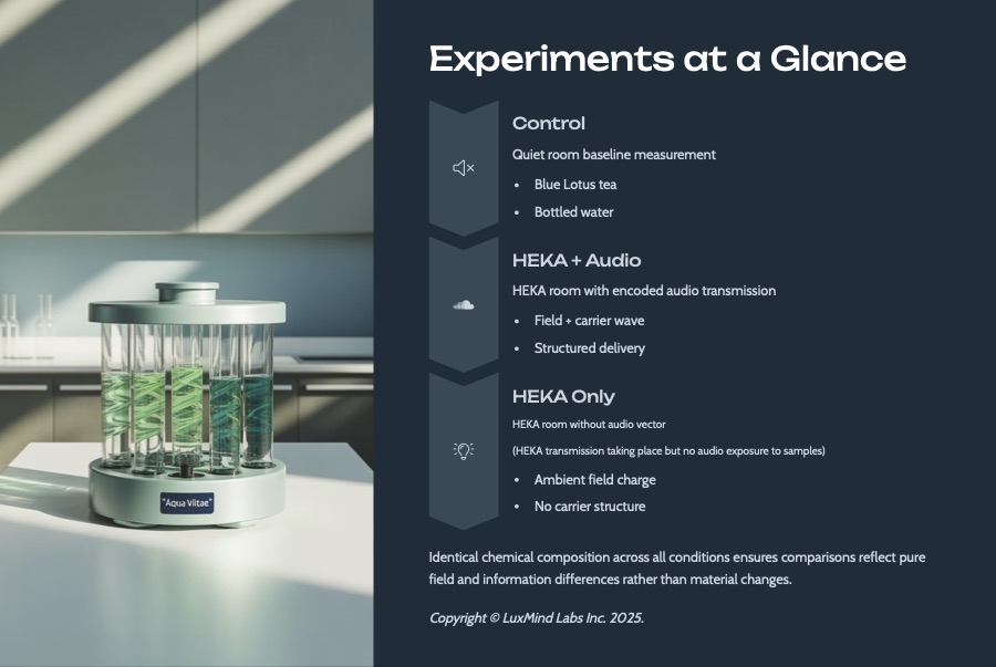 SOFIA-Study-Sound-Organized-Field-Intelligence-in-Aquifers